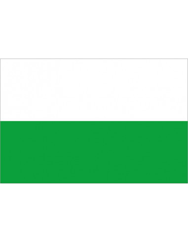 Bandera-de-Ridderkerk