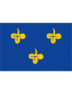 Bandera-de-Zoeterwoude