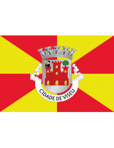 Bandera-de-Viseu