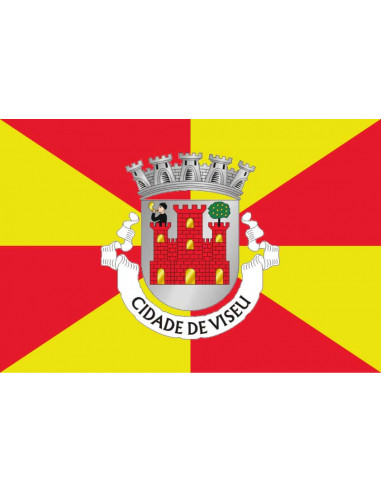 Bandera-de-Viseu