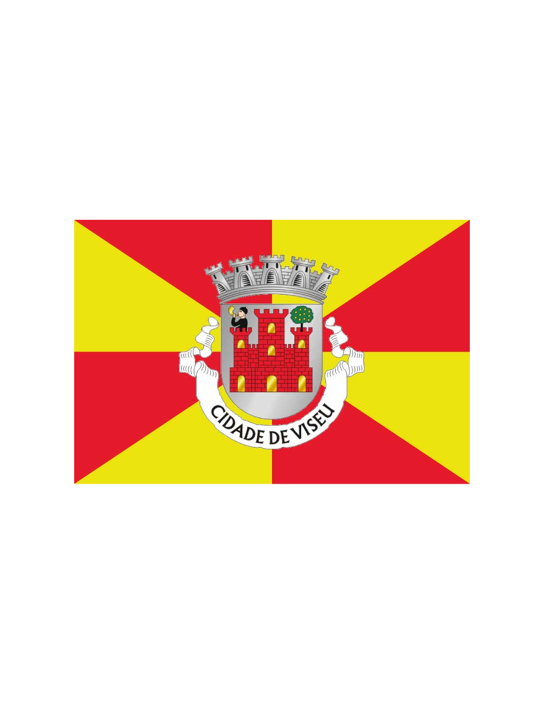 Bandera-de-Viseu