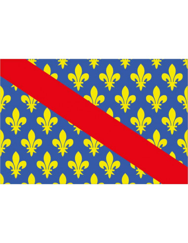 Bandera-Departamento-de-Allier