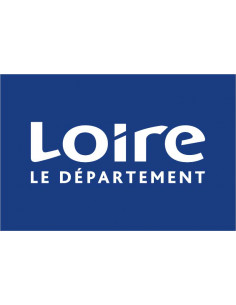 Bandera-Oficial-de-Loire