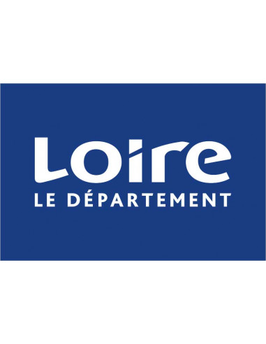 Bandera-Oficial-de-Loire