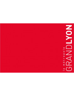 Bandera-Oficial-de-Grand-Lyon