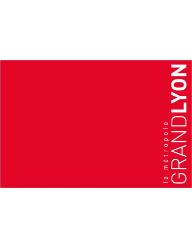 Bandera-Oficial-de-Grand-Lyon