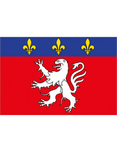 Bandera-de-Lyon