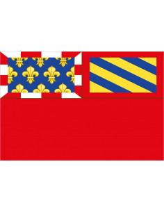 Bandera-de-Dijon