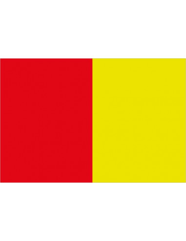 Bandera-de-Lons-le-Saunier