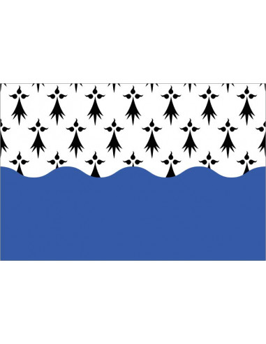 Bandera-de-Morbihan