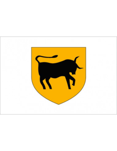 Bandera-de-Carhaix-Plouguer
