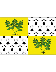 Bandera-de-Fougères