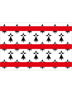 Bandera-de-Rostrenen