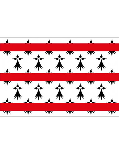 Bandera-de-Rostrenen