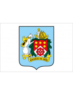 Bandera-de-Saint-Martin-des-Champs