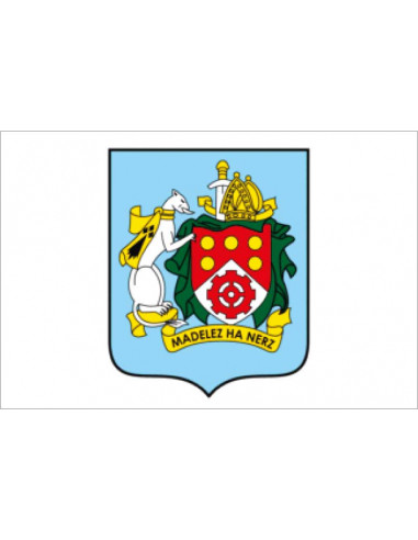 Bandera-de-Saint-Martin-des-Champs