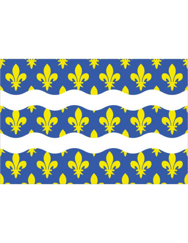 Bandera-de-Seine-et-Marne