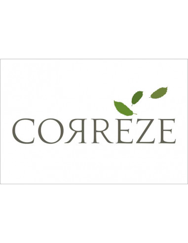 Bandera-Oficial-de-Corrèze