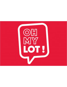 Bandera-Oficial-de-Lot