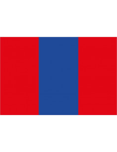 Bandera-de-Vic-Fezensac