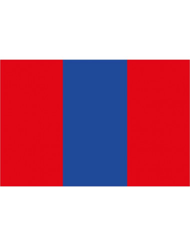 Bandera-de-Vic-Fezensac