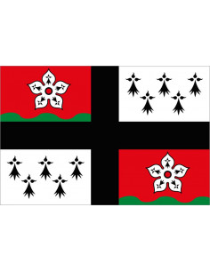 Bandera-de-Pays-d'Ancenis
