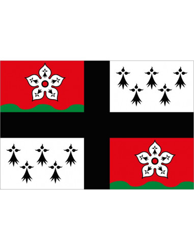 Bandera-de-Pays-d'Ancenis