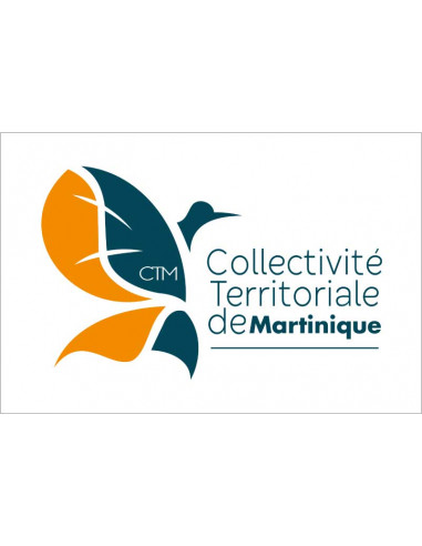 Bandera-Collectivité-Territoriale-de-Martinique