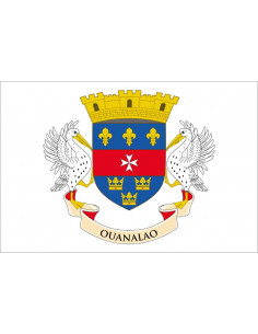 Bandera-Local-de-Saint-Barthélemy