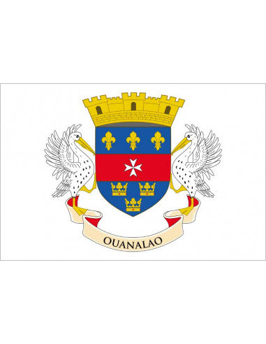 Bandera-Local-de-Saint-Barthélemy