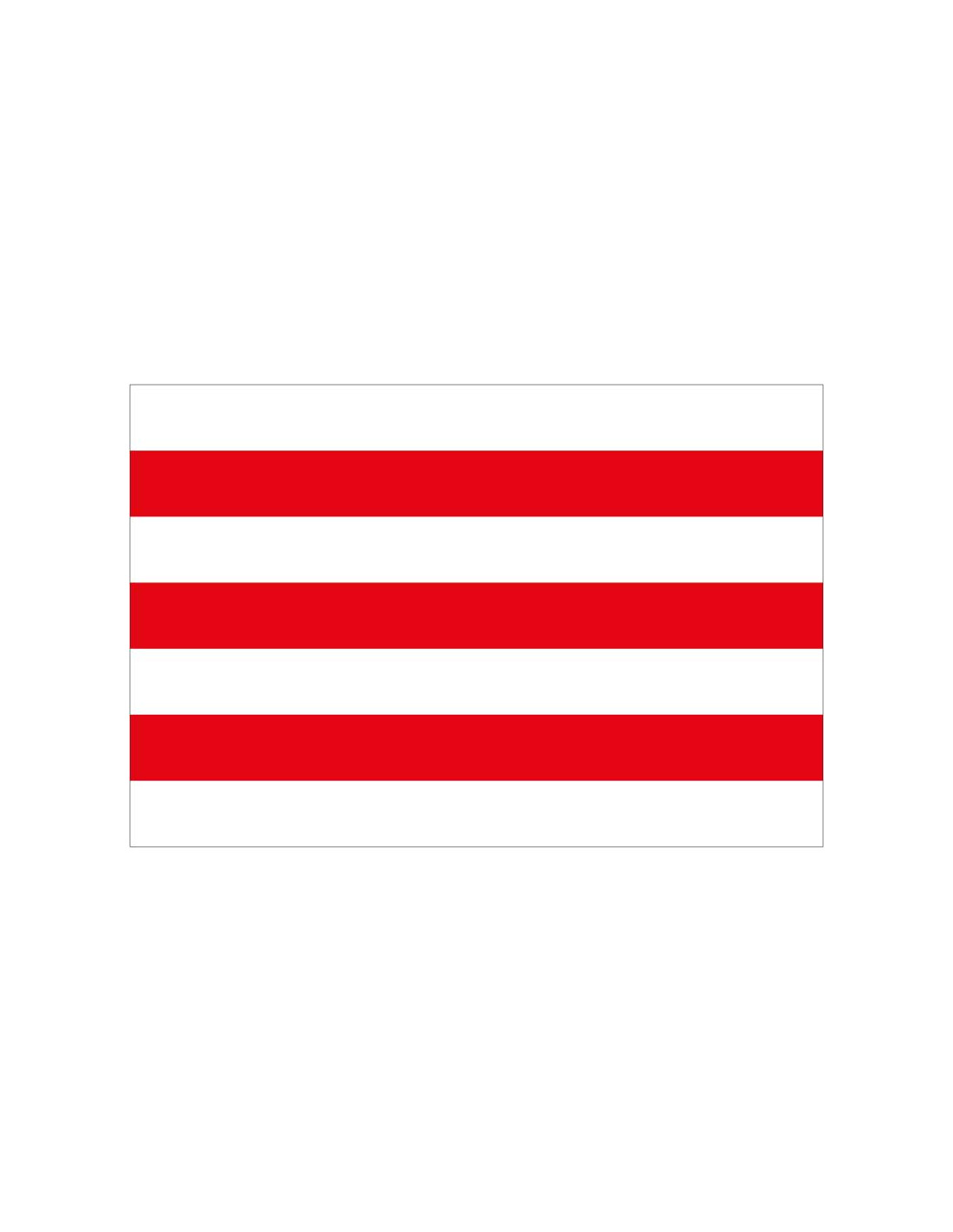 Bandera-de-Sint-Lievens-Houtem