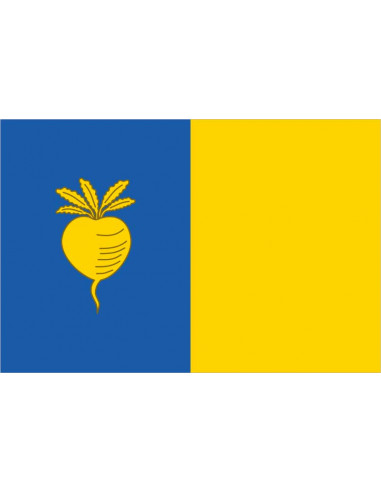 Bandera-de-Sint-Niklaas