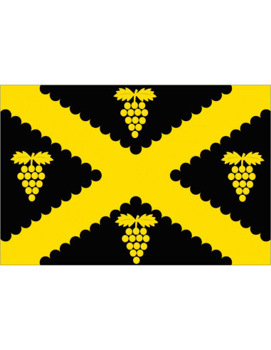 Bandera-de-Wijnegem