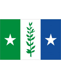 Bandera-de-Zwijndrecht