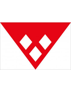 Bandera-de-Rijkevorsel