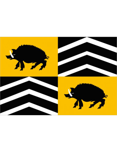 Bandera-de-Vorselaar