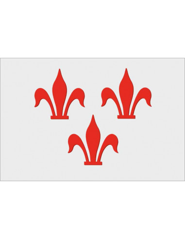 Bandera-de-Rotselaar