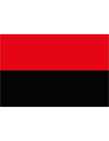 Bandera-de-Zoutleeuw